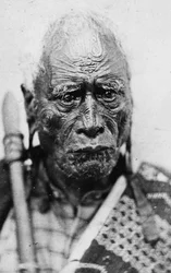 Portrait of a Maori Man, Taraia Ngakuti te Tumuhuia, with 